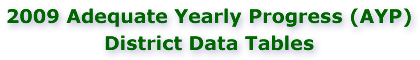 2009 AYP District Data Tables