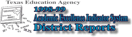 1999 District AEIS Report